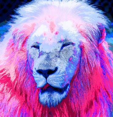 Erkek aslan işareti illüstrasyon renk lekeli pop-art arkaplan simgesi
