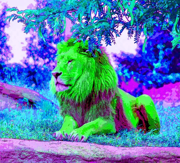 Иллюстрация Изображением Льва Поп Арт Иконка Цветовыми Пятнами — стоковое фото