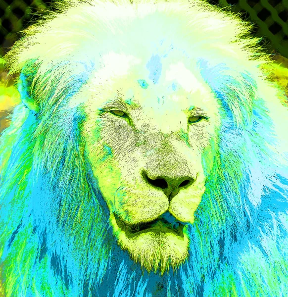 カラースポットのある男性ライオンサインイラストポップアートの背景アイコン — ストック写真