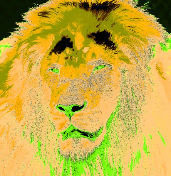 Homme Lion Signe Illustration Pop Art Icône Fond Avec Des — Photo