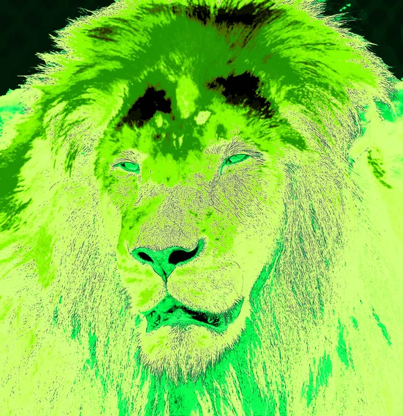 カラースポットのある男性ライオンサインイラストポップアートの背景アイコン — ストック写真