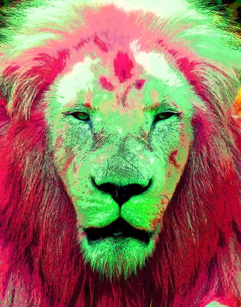 Male Lion Sign Illustration Pop Art Background Icon Color Spots — Stock Photo, Image
