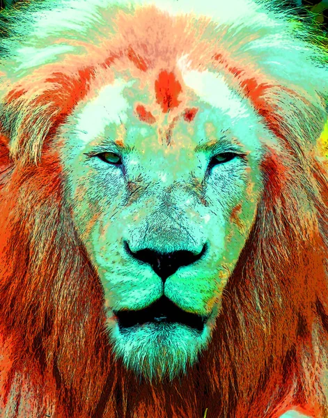 Männliche Löwe Zeichen Illustration Pop Art Hintergrund Symbol Mit Farbflecken — Stockfoto