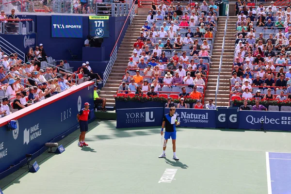 Professional Tennis Player Playing Court — Stock Photo, Image