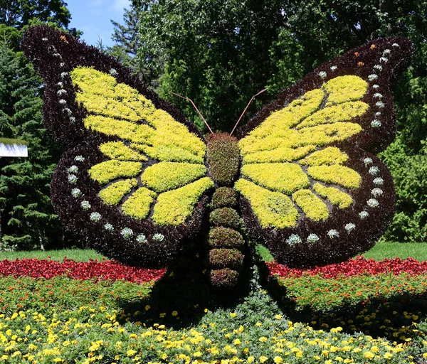 Quebec City Canada 2022 Motyl Mozaikulturze Pewnego Razu Wystawa Będzie — Zdjęcie stockowe