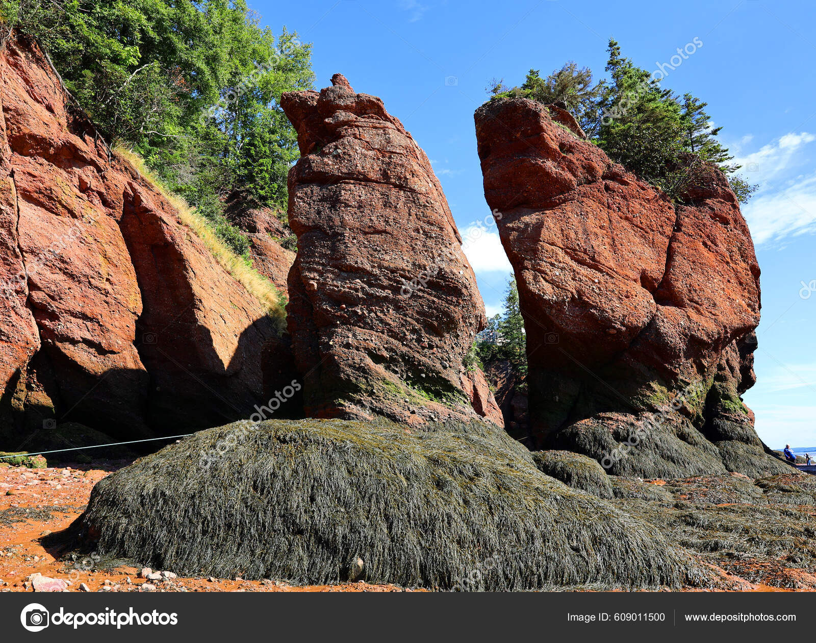 Uma vista das falésias da baía de fundy