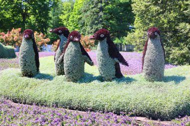 KEBEK ŞEHRİ CANADA 08: 15 Penguen mozaikte Bir Zamanlar Dünya 'sında sergi gezegenimizdeki yaşamın güzelliği için bir ilahi olacak.