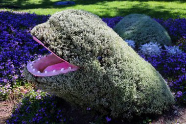 QUEBEC CITY CANADA 08: 15 2022 Mozaik Kültürü Beluga balinası Bir Zamanlar Dünya Üzerinde, sergi gezegenimizdeki yaşamın güzelliği için bir ilahi olacak.