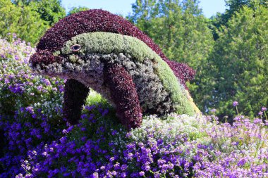 CANADA ŞEHRİ CANADA 08: 15 2022 Mozaik Kültürü Bir Zamanlar Dünya 'sında, sergi gezegenimizdeki yaşamın güzelliği için bir ilahi olacak.