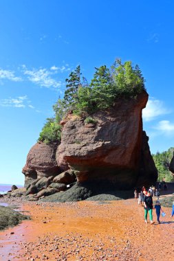 FUNDY NEW BRUNSICK Kanada BAY 08: 15 2022: Park ziyaretçileri alçak gelgitte okyanus tabanını keşfediyorlar. Hopewell Kayalık Parkı Kanada 'da, Kuzey Atlantik Okyanusu' ndaki Fundy Körfezi kıyısında yer alıyor.