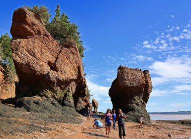FUNDY NEW BRUNSICK Kanada BAY 08: 15 2022: Park ziyaretçileri alçak gelgitte okyanus tabanını keşfediyorlar. Hopewell Kayalık Parkı Kanada 'da, Kuzey Atlantik Okyanusu' ndaki Fundy Körfezi kıyısında yer alıyor.