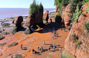 FUNDY NEW BRUNSICK Kanada BAY 08: 15 2022: Park ziyaretçileri alçak gelgitte okyanus tabanını keşfediyorlar. Hopewell Kayalık Parkı Kanada 'da, Kuzey Atlantik Okyanusu' ndaki Fundy Körfezi kıyısında yer alıyor.