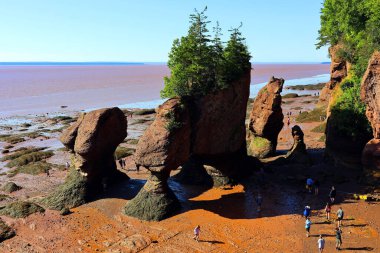 FUNDY NEW BRUNSICK Kanada BAY 08: 15 2022: Park ziyaretçileri alçak gelgitte okyanus tabanını keşfediyorlar. Hopewell Kayalık Parkı Kanada 'da, Kuzey Atlantik Okyanusu' ndaki Fundy Körfezi kıyısında yer alıyor.