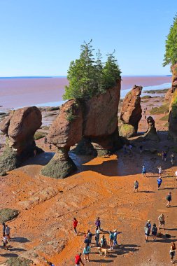 FUNDY NEW BRUNSICK Kanada BAY 08: 15 2022: Park ziyaretçileri alçak gelgitte okyanus tabanını keşfediyorlar. Hopewell Kayalık Parkı Kanada 'da, Kuzey Atlantik Okyanusu' ndaki Fundy Körfezi kıyısında yer alıyor.