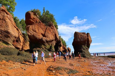 FUNDY NEW BRUNSICK Kanada BAY 08: 15 2022: Park ziyaretçileri alçak gelgitte okyanus tabanını keşfediyorlar. Hopewell Kayalık Parkı Kanada 'da, Kuzey Atlantik Okyanusu' ndaki Fundy Körfezi kıyısında yer alıyor.