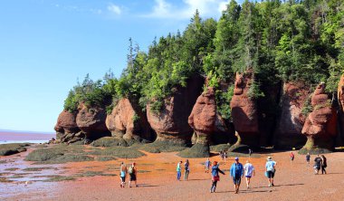 FUNDY NEW BRUNSICK Kanada BAY 08: 15 2022: Park ziyaretçileri alçak gelgitte okyanus tabanını keşfediyorlar. Hopewell Kayalık Parkı Kanada 'da, Kuzey Atlantik Okyanusu' ndaki Fundy Körfezi kıyısında yer alıyor.