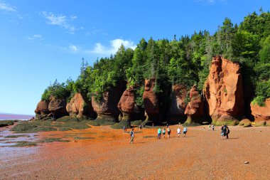 FUNDY NEW BRUNSICK Kanada BAY 08: 15 2022: Park ziyaretçileri alçak gelgitte okyanus tabanını keşfediyorlar. Hopewell Kayalık Parkı Kanada 'da, Kuzey Atlantik Okyanusu' ndaki Fundy Körfezi kıyısında yer alıyor.