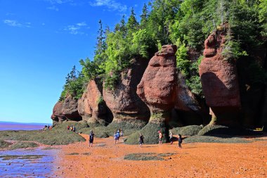 FUNDY NEW BRUNSICK Kanada BAY 08: 15 2022: Park ziyaretçileri alçak gelgitte okyanus tabanını keşfediyorlar. Hopewell Kayalık Parkı Kanada 'da, Kuzey Atlantik Okyanusu' ndaki Fundy Körfezi kıyısında yer alıyor.