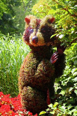 QUEBEC CITY CANADA 08: 15 2022: Mozaikte rakun Bir Zamanlar Dünya 'sında, sergi gezegenimizdeki yaşamın güzelliği için bir ilahi olacak.