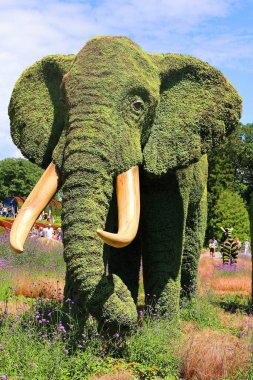 QUEBEC CITY CANADA 08: 15 2022: Mozaikte filler Bir Zamanlar Dünya Üzerinde, sergi gezegenimizdeki yaşamın güzelliği için bir ilahi olacak