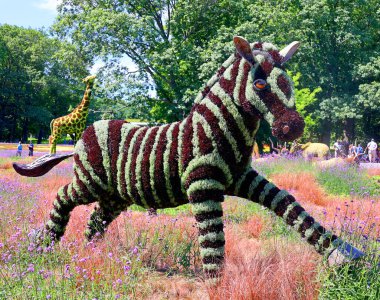 QUEBEC CITY CANADA 08: 15 2022: Mozaikte Zebra Bir Zamanlar Dünya 'sında, sergi gezegenimizdeki yaşamın güzelliği için bir ilahi olacak.