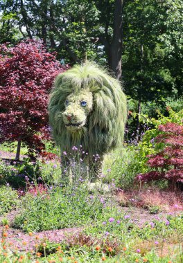 QUEBEC CITY CANADA 08: 15 2022: Mozaikürdeki aslan Bir Zamanlar Dünyası 'nda sergi, gezegenimizdeki yaşamın güzelliği için bir ilahi olacak.