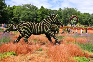 QUEBEC CITY CANADA 08: 15 2022: Mozaikte Zebra Bir Zamanlar Dünya 'sında, sergi gezegenimizdeki yaşamın güzelliği için bir ilahi olacak.