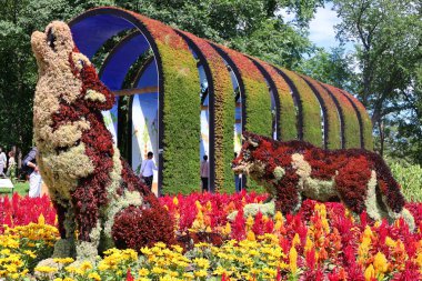 QUEBEC ŞEHRİ CANADA 08: 15 2022: Mozaikürdeki Kurt Bir Zamanlar Dünyası 'nda sergi, gezegenimizdeki yaşamın güzelliği için bir ilahi olacak.
