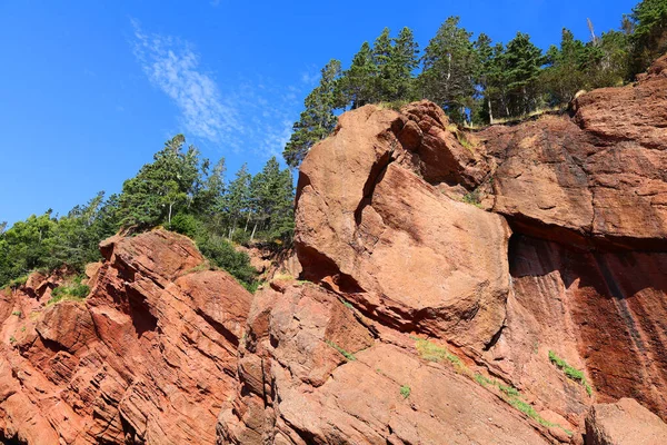 Hopewell Rocks Park Canada Situato Sulle Rive Della Baia Fundy — Foto Stock