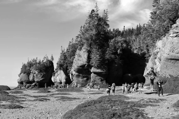 Bay Fundy New Brunswick Canada 2022 Επισκέπτες Του Πάρκου Εξερευνούν — Φωτογραφία Αρχείου