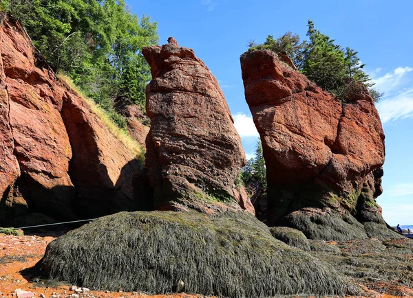Hopewell Rocks Park Канаді Розташований Березі Затоки Fundy Північноатлантичному Океані — стокове фото
