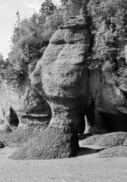 Hopewell Rocks Park Στον Καναδά Που Βρίσκεται Στις Όχθες Του — Φωτογραφία Αρχείου