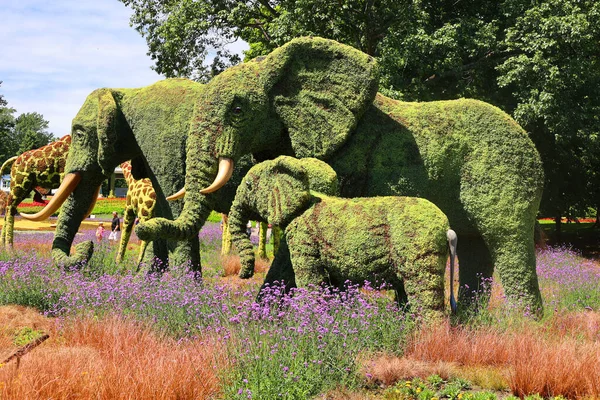 Québec Ville Canada 2022 Les Éléphants Mosaïculture Était Une Fois — Photo