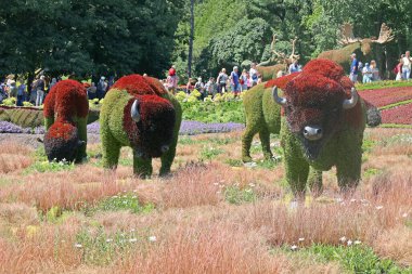 Mosaiculture 'daki Bizon heykeli Bir Zamanlar Dünya' sında sergi, gezegenimizdeki yaşamın güzelliği için bir ilahi olacak.