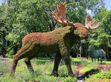 Bir Zamanlar Dünya 'sında Geyik Heykeli, gezegenimizdeki yaşamın güzelliği için bir ilahi olacak.