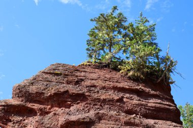 Hopewell Kayalık Parkı Kanada 'da, Kuzey Atlantik Okyanusu' ndaki Fundy Körfezi kıyısında yer alıyor. 