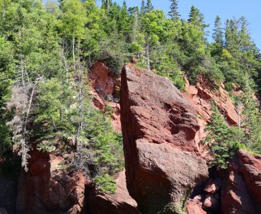 Hopewell Kayalık Parkı Kanada 'da, Kuzey Atlantik Okyanusu' ndaki Fundy Körfezi kıyısında yer alıyor. 
