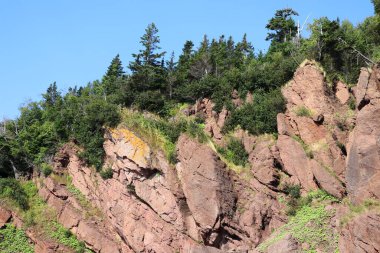 Hopewell Kayalık Parkı Kanada 'da, Kuzey Atlantik Okyanusu' ndaki Fundy Körfezi kıyısında yer alıyor.