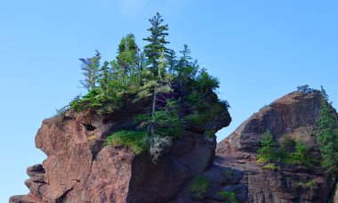 Hopewell Kayalık Parkı Kanada 'da, Kuzey Atlantik Okyanusu' ndaki Fundy Körfezi kıyısında yer alıyor.