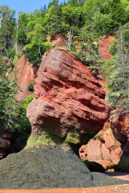 Hopewell Kayalık Parkı Kanada 'da, Kuzey Atlantik Okyanusu' ndaki Fundy Körfezi kıyısında yer alıyor.
