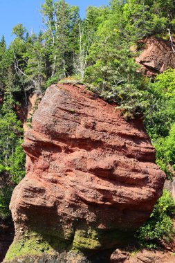 Hopewell Kayalık Parkı Kanada 'da, Kuzey Atlantik Okyanusu' ndaki Fundy Körfezi kıyısında yer alıyor.