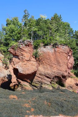 Hopewell Kayalık Parkı Kanada 'da, Kuzey Atlantik Okyanusu' ndaki Fundy Körfezi kıyısında yer alıyor.