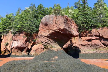 Hopewell Kayalık Parkı Kanada 'da, Kuzey Atlantik Okyanusu' ndaki Fundy Körfezi kıyısında yer alıyor.