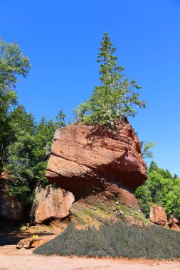 Hopewell Kayalık Parkı Kanada 'da, Kuzey Atlantik Okyanusu' ndaki Fundy Körfezi kıyısında yer alıyor.