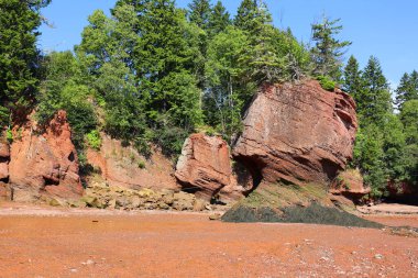 Hopewell Kayalık Parkı Kanada 'da, Kuzey Atlantik Okyanusu' ndaki Fundy Körfezi kıyısında yer alıyor.