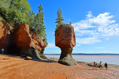 Hopewell Kayalık Parkı Kanada 'da, Kuzey Atlantik Okyanusu' ndaki Fundy Körfezi kıyısında yer alıyor.