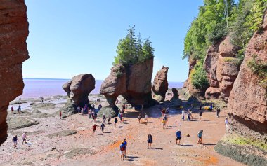 Hopewell Cape, Kanada - 24 Eylül 2018: Görünüm Hopewell Rocks ziyaretçi ile düşük gelgit. New Brunswick, Amerika Birleşik Devletleri