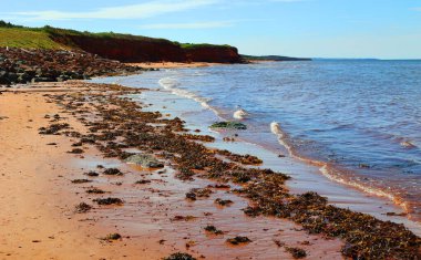 Cavendish Beach Prince Edward Island Milli Parkı'nda (Prince Edward Island, Kanada) 