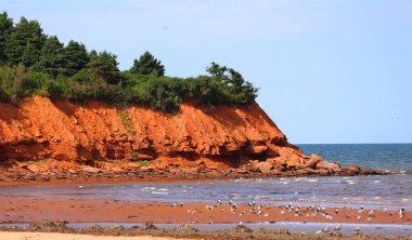 Cavendish Beach Prince Edward Island Milli Parkı'nda (Prince Edward Island, Kanada) 