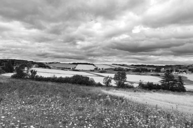 Kırsal Prens Edwards Adası Kanada 'da olgun altın tarlaları